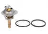 Термостат MERCEDES-BENZ (пр-во Vernet) TH6962.90J