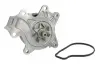 Помпа водяная SKF VKPC 91866 (фото 1)