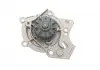 Помпа водяная SKF VKPC 81242 (фото 6)