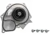 Помпа водяная SKF VKPC 81231