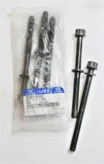 Болт головки циліндрів (Mobis) MOBIS (KIA, Hyundai) 223214A000