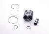 Поршень ДВС 1.9dCi / 1.9dTi Trafic II Opel Vivaro A 01-> 14 / Kangoo97-> 08 Master II / Opel Movano A 98-> 10 (7701472834) Renault