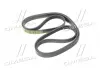 Ремень привода Actyon, Kyron, Rexton, Rodius 6PK2255 Ssang Yong SSANGYONG 6659970392 (фото 1)