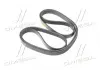 Ремень привода Actyon, Kyron, Rexton, Rodius 6PK2255 Ssang Yong SSANGYONG 6659970392 (фото 2)