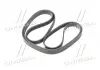 Ремень привода Actyon, Kyron, Rexton, Rodius 6PK2255 Ssang Yong SSANGYONG 6659970392 (фото 3)