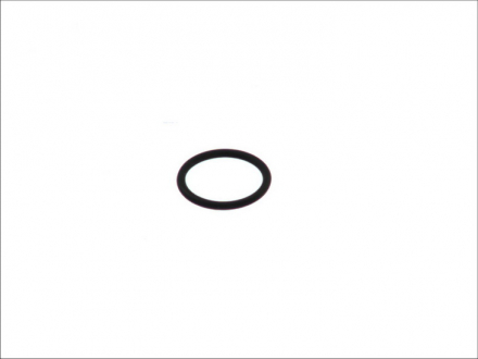 Уплотнительное кольцо пробки с резьбой отверстия слива масла ELRING 476.750 (фото 1)