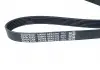 Ремінь генератора і кондиціонера Chery Amulet / Forza / Karry / Elara DAYCO A11-3701315BA (фото 4)