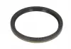Уплотнительное кольцо FPM (Fluor-Kautschuk) Elr_287.300 ELRING