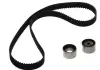 Роликовый модуль натяжителя ремня (ролик. Ремень) SKF VKMA 94620