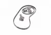 Роликовый модуль натяжителя ремня (ролик, ремень) SKF VKMA 95975 (фото 2)