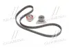 Ремкомплект ГРМ VOLVO S60 II T5 (пр-во SKF) SKF VKMA 06038