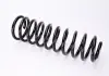 Задняя пружина подвески Magnum Technology SW072MT