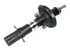 Амортизатор передний Magnum Technology AHW017MT