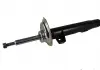 Амортизатор передній Magnum Technology AGB036MT