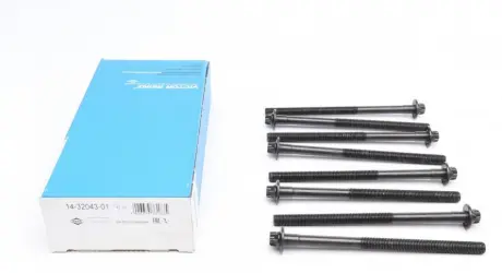 Комплект болтов головки цилидра Reinz VICTOR REINZ 143204301