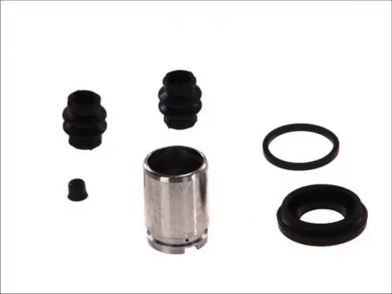 Ремкомплект суппорта Seinsa AUTOFREN D41163C