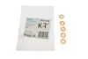 Элемент форсунки Common Rail DELPHI 9001850C