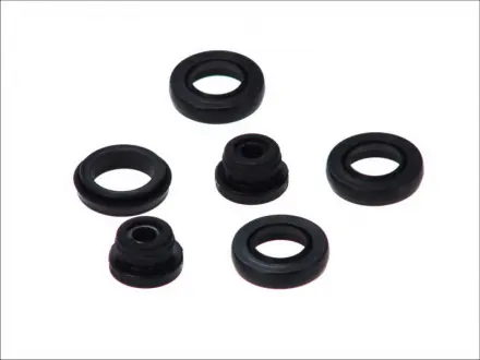 Ремонтный комплект Seinsa AUTOFREN D1 481