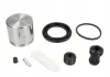 Ремонтный комплект Autofren Seinsa D4 1748C