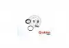 Ремонтный комплект Autofren Seinsa D4 1678
