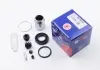 Ремонтный комплект Autofren Seinsa D4 1603C