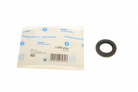 Элемент насоса Common Rail Delphi 7190234