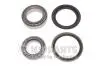 Підшипник колісний NIPPARTS N4700310 (фото 1)