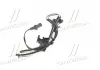 Датчик АБС FORD, MAZDA (ABS) A.B.S 30129 (фото 4)