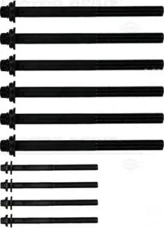 Болты головки блока VICTOR REINZ 14-10016-01