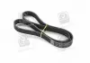 Ремень поликлин. (Пр-во SKF) SKF VKMV6PK1117