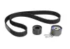Комплект ГРМ (ремень ролик) SKF VKMA06220
