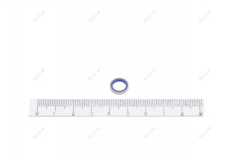 Элемент насоса Common Rail BOSCH F01M102261 (фото 1)