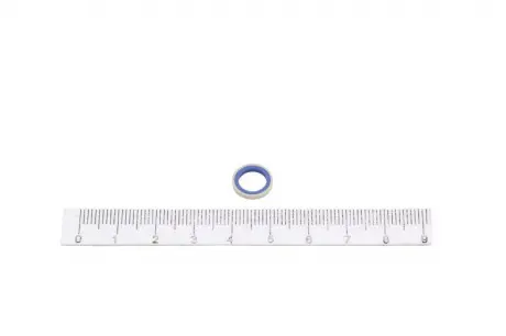 Элемент насоса Common Rail BOSCH F01M102261