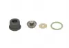Элемент насоса Common Rail BOSCH F00N202354