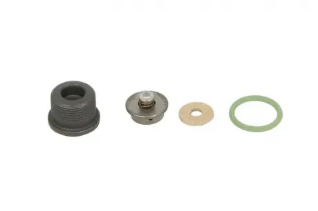Элемент насоса Common Rail BOSCH F00N202354 (фото 1)