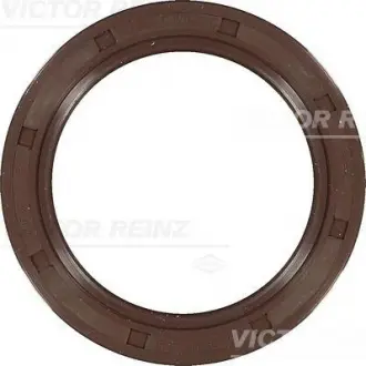 Уплотнительное кольцо VICTOR REINZ 81-36231-00