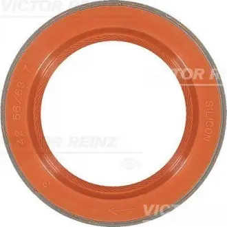 Уплотнительное кольцо VICTOR REINZ 81-35876-00