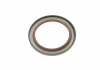 Уплотнительное кольцо VICTOR REINZ 81-34457-00 (фото 2)