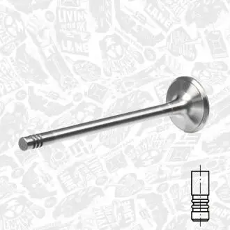 Выпускной клапан ET ENGINETEAM VE0104