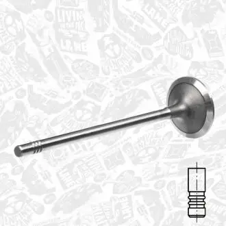 Выпускной клапан ET ENGINETEAM VE0069