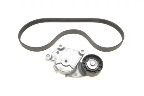 Комплект (реминьроликы) Gates K026PK975