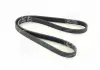 Ремень поликлин. (Пр-во SKF) VKMV5PK1110