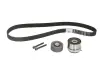 Комплект (реминьроликы) SKF VKMA 05260