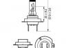 Автомобильная лампа PHILIPS 40607130