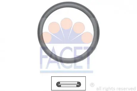 Прокладка термостата FACET 7.9598 (фото 1)