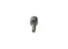 Форсунка Common Rail BOSCH 0433175250 (фото 2)