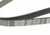 Ремень дорожный DAYCO 6PK1087 (фото 2)