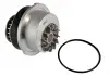 Насос охолоджуючої рідини THERMOTEC D1X022TT (фото 2)
