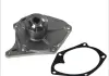 Водяная помпа THERMOTEC D1R033TT