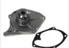 Насос охолоджуючої рідини THERMOTEC D1R033TT (фото 3)